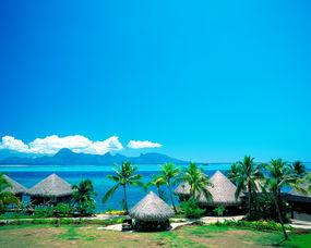 天堂网图片大全图片,视觉盛宴，捕捉美好瞬间