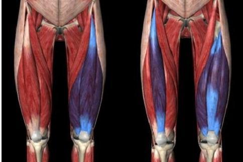 股四头肌康复训练视频,视频教程详解