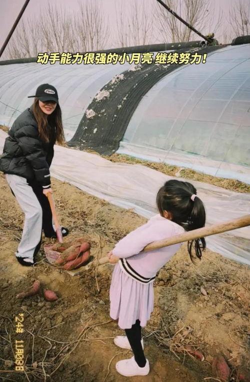 挖地瓜视频,探寻乡村生活的魅力与智慧