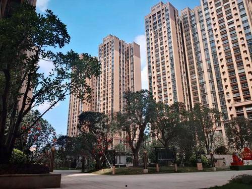 水果吊瓜今日行情分析,涨跌波动解析与趋势展望