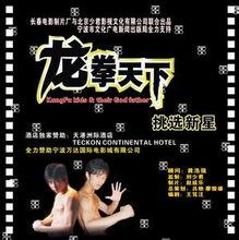 电影龙拳国语,热血铸就的传奇之路