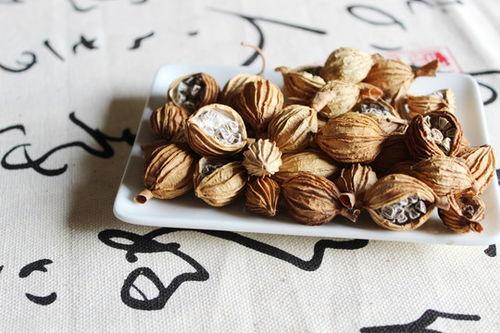 香砂图片,品味自然之韵