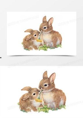 可爱免子图片大全,可爱兔子图片大盘点